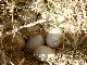 100_1543.jpg