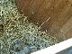 100_1737.jpg