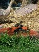 100_2396.jpg