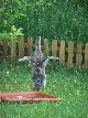 100_2867.jpg