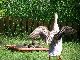 100_2954.jpg