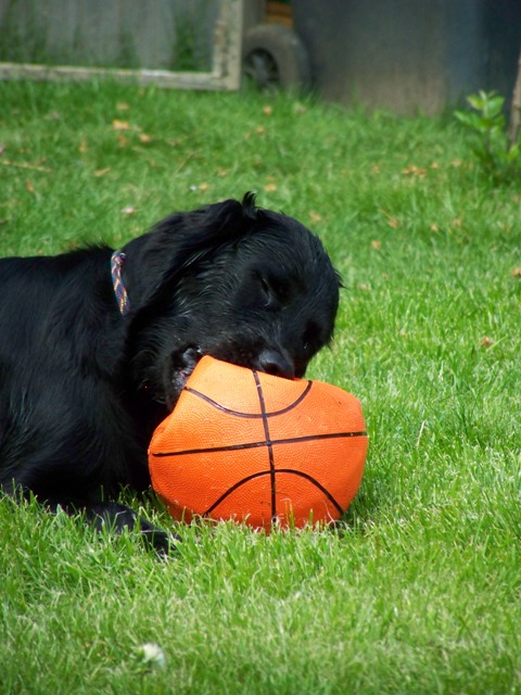 100_2429.jpg