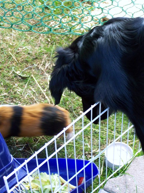 100_3402.jpg