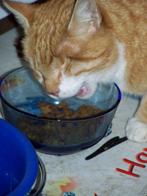 100_5624.jpg